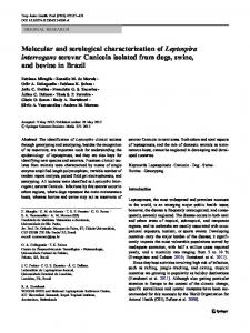 Molecular and serological characterization of Leptospira interrogans ...