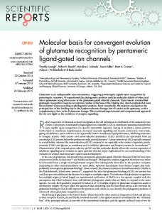 Molecular basis for convergent evolution of