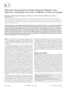 Molecular Characterization of Feline Infectious ... - Journal of Virology