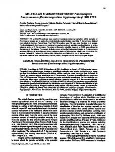 MOLECULAR CHARACTERIZATION OF Paecilomyces ... - CiteSeerX