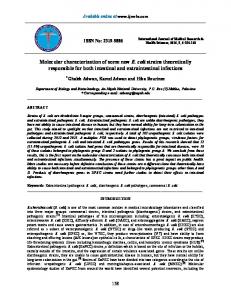 Molecular characterization of some new E. coli strains theoretically ...