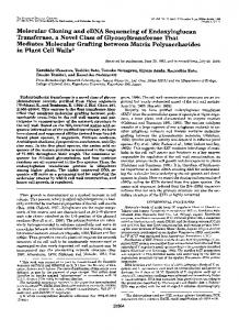 Molecular Cloning and cDNA Sequencing of Endoxyloglucan ...