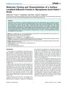 Molecular Cloning and Characterization of a Surface ... - CiteSeerX