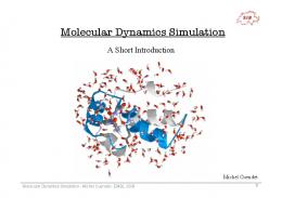 Molecular Dynamics Simulation