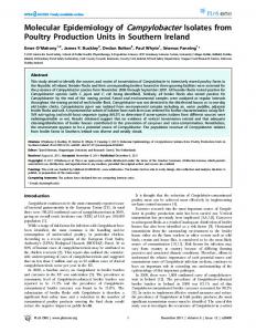 Molecular Epidemiology of Campylobacter Isolates ... - Semantic Scholar