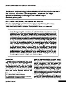 Molecular epidemiology of coxsackievirus B4 and ... - CiteSeerX