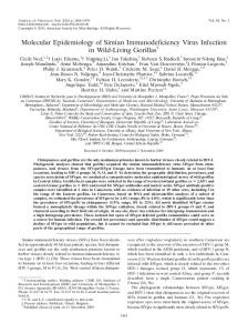 Molecular Epidemiology of Simian ... - Journal of Virology