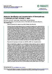 Molecular identification and characterization of Sarcocystis ... - Parasite