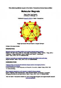 Molecular Magnets - MolSpinQIP