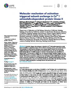 Molecular mechanism of activation- triggered