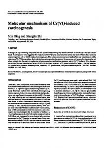 Molecular mechanisms of Cr(VI)-induced ... - Toxicology | USU