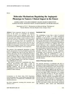 Molecular Mechanisms Regulating the Angiogenic Phenotype in Tumors