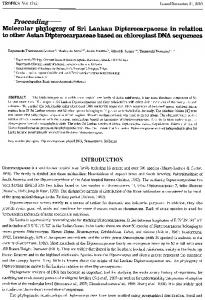 Molecular phylogeny of