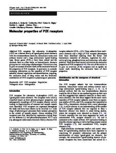 Molecular properties of P2X receptors