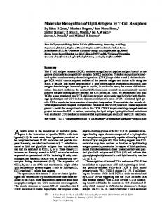 Molecular Recognition of Lipid Antigens by T Cell ... - BioMedSearch