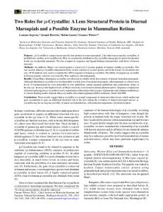 MolVis template - Semantic Scholar