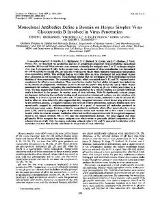 Monoclonal Antibodies Define a Domain on ... - Journal of Virology