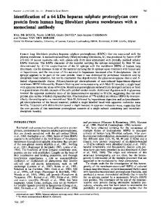 monoclonal antibody