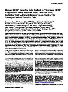 Monocyte-Derived Dendritic Cells Their Adjuvant Responsiveness ...