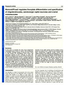 Monorail/Foxa2 regulates floorplate differentiation ... - Semantic Scholar