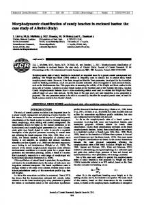 Morphodynamic classification of sandy beaches in