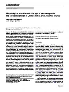 Morphological alterations of all stages of ... - Springer Link