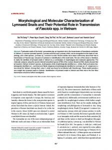 Morphological and Molecular Characterization of Lymnaeid Snails ...