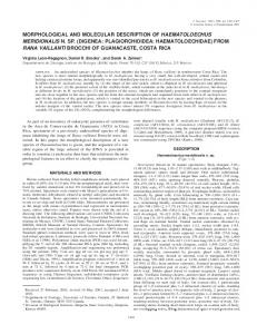 morphological and molecular description of haematoloechus ... - BioOne