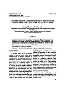 morphological and physiological responses of ... - Semantic Scholar