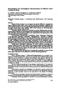 Morphological and Technological Characterization of Different Carob