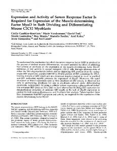 Mouse C2C12 Myoblasts - Europe PMC