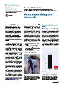 Mouse models of deep vein thrombosis