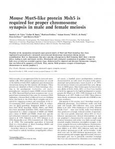 Mouse MutS-like protein Msh5 is required for proper chromosome ...