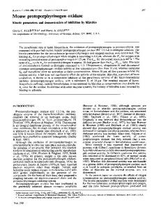 Mouse protoporphyrinogen oxidase - NCBI