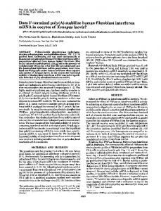 mRNA in oocytes of Xenopus laevis?