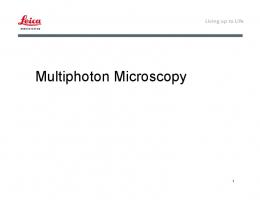 Multiphoton Microscopy