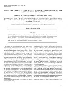 multiple drug resistant staphylococcus aureus