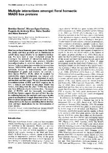 Multiple interactions amongst floral homeotic - Europe PMC