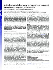 Multiple transcription factor codes activate ... - Semantic Scholar