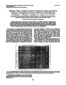 Multiple Vibrio vulnificus Strains in Oysters as Demonstrated by ...