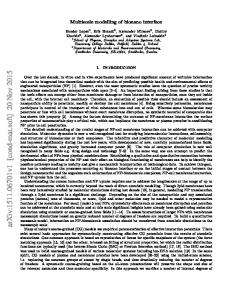 Multiscale modelling of bionano interface