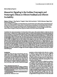 Muscarinic Signaling in the Cochlea: Presynaptic ... - Semantic Scholar