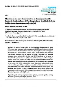 Mutation in the pssA Gene Involved in