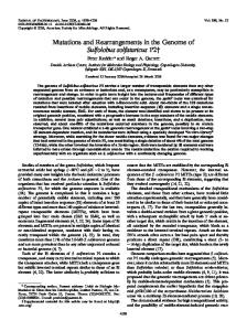 Mutations and Rearrangements in the Genome of Sulfolobus ...