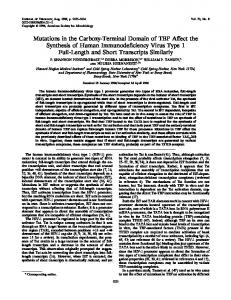 Mutations in the Carboxy-Terminal Domain of ... - Journal of Virology