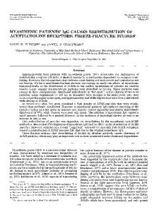 MYASTHENIC PATIENTS' IgG CAUSES