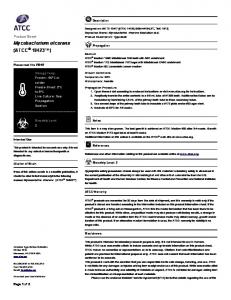 Mycobacterium ulcerans