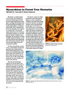 Mycorrhizae in Forest Tree Nurseries