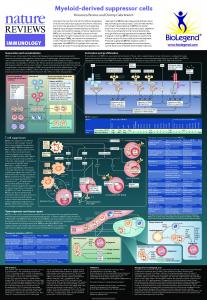 Myeloid-derived suppressor cells