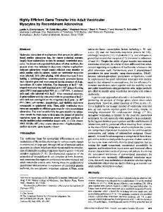 Myocytes by Recombinant Adenovirus - NCBI